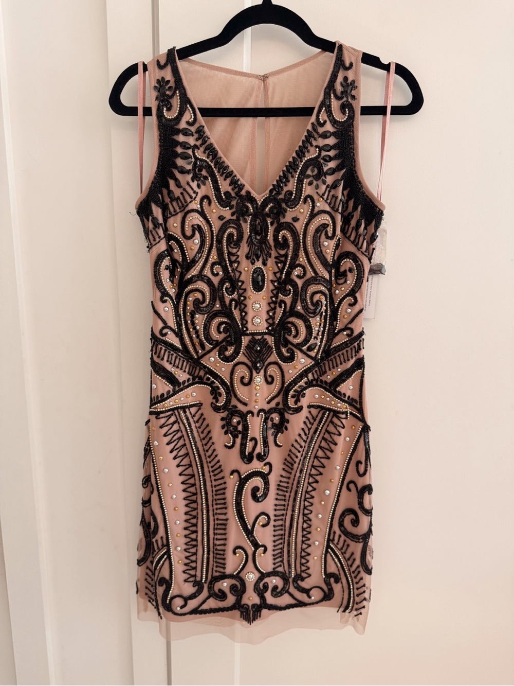 Blush & Black Embroidered Beaded V-Neck Mini Dress
